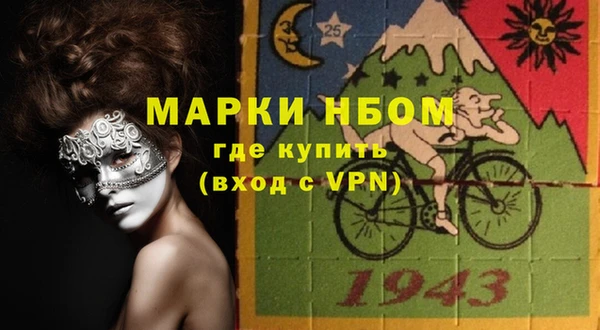 шишки Семилуки