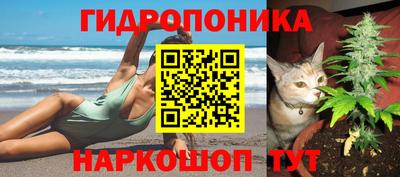 сатива Абинск