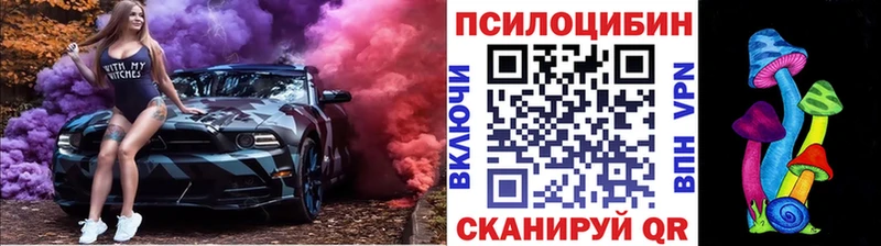 кракен сайт  Алейск  Псилоцибиновые грибы Psilocybine cubensis 