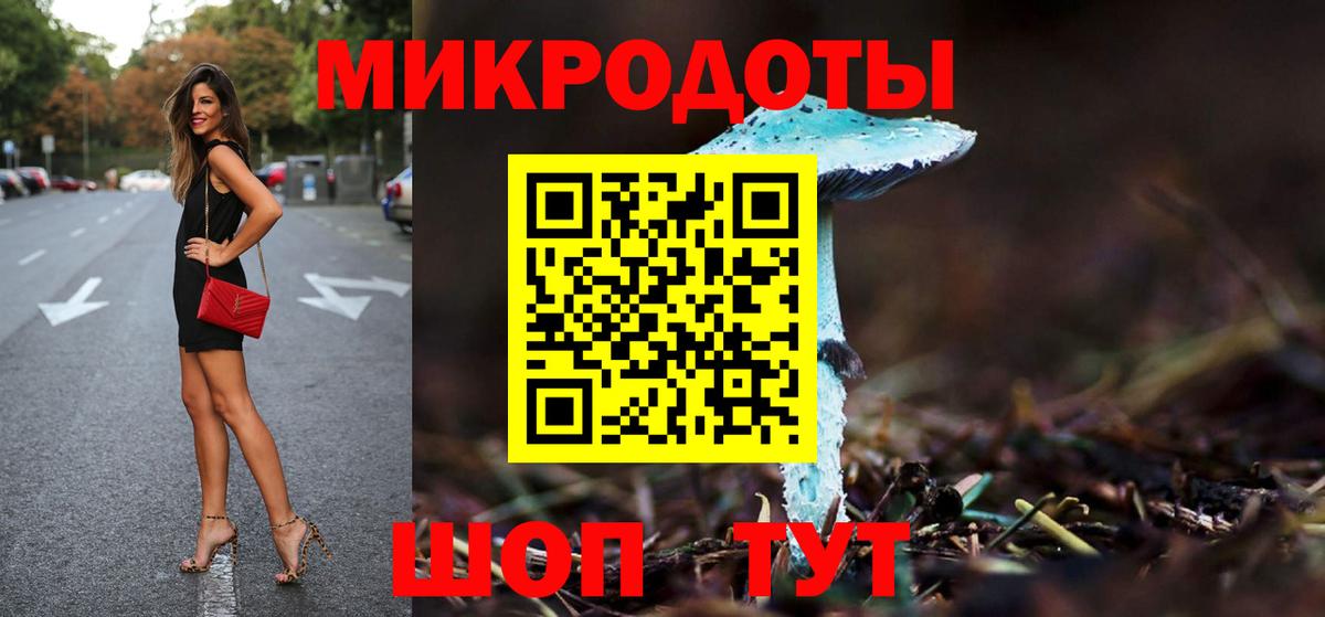 Псилоцибиновые грибы прущие грибы  Алейск 