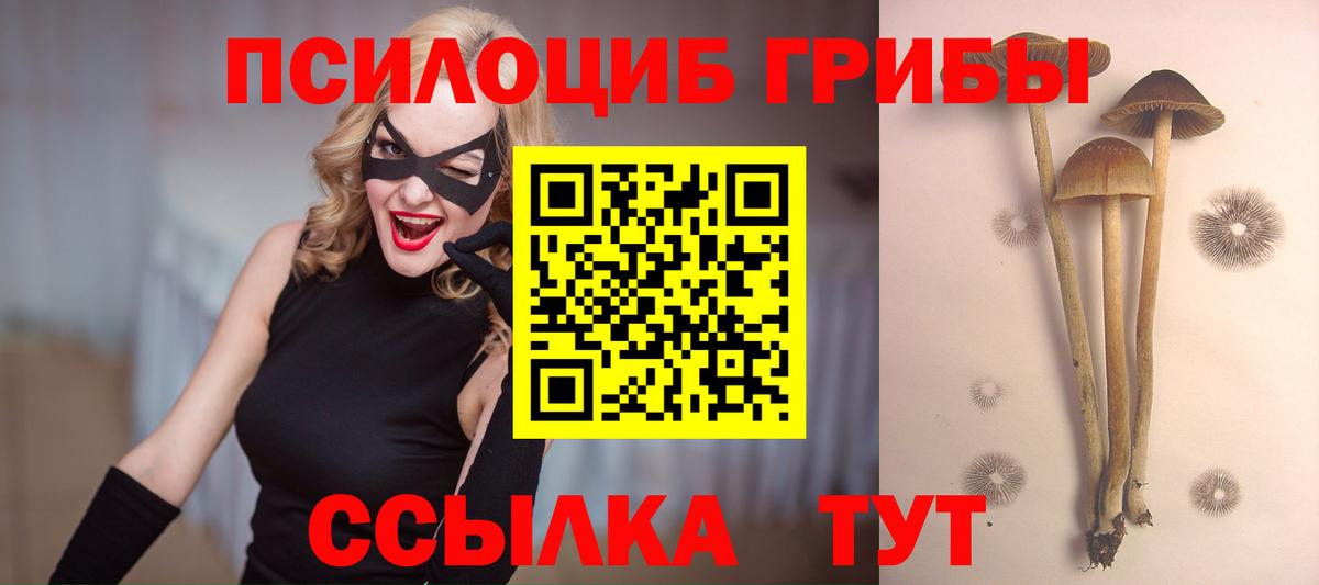 Галлюциногенные грибы мухоморы Алейск