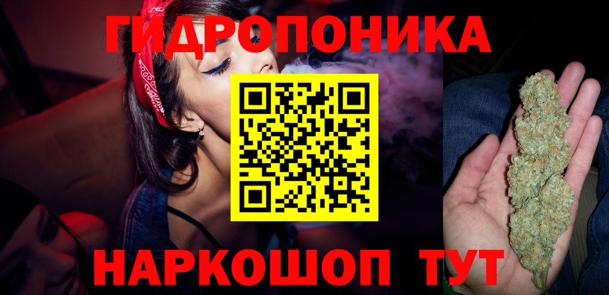 Канабис семена Алейск